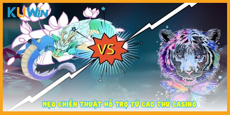 Mẹo chiến thuật hỗ trợ từ cao thủ casino